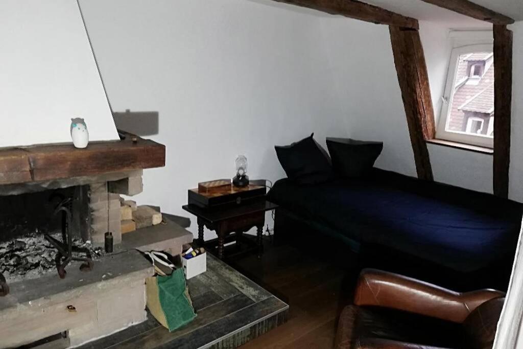 Apartament La Chaumiere Strasburg Zewnętrze zdjęcie