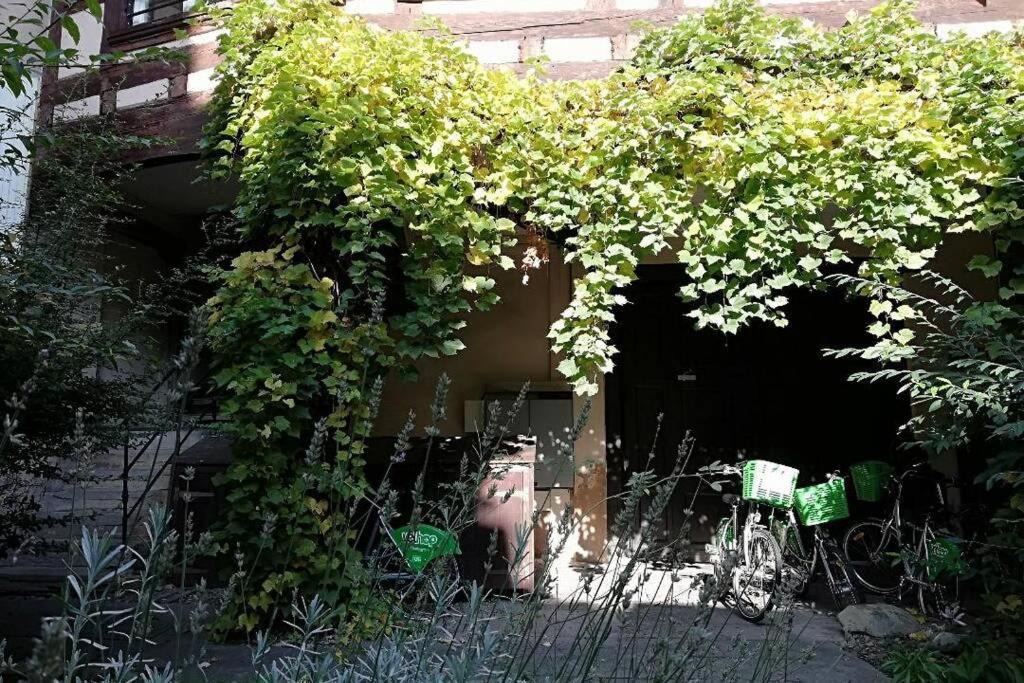 Apartament La Chaumiere Strasburg Zewnętrze zdjęcie